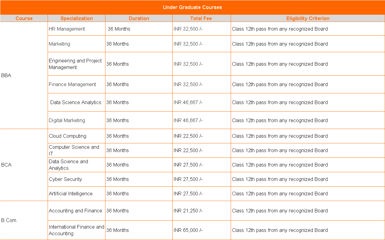Amity Online UG Courses